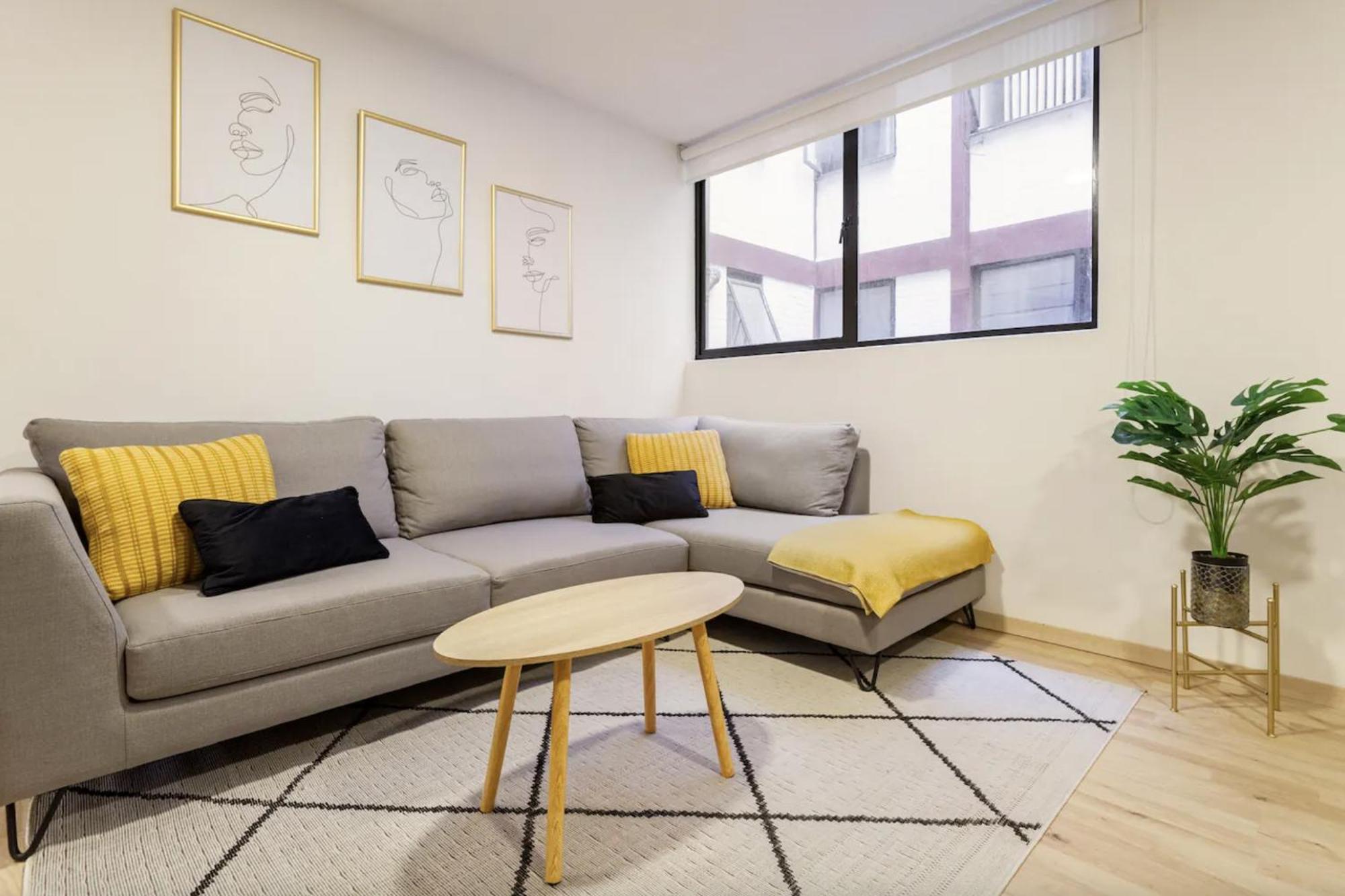 Private With Shared Bathroom In Roma Norte, Privatunterkunft